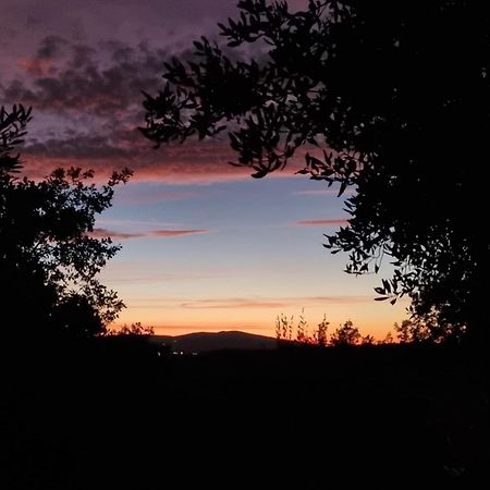 Pensjonat Dimora Nel Chianti San Sano Zewnętrze zdjęcie