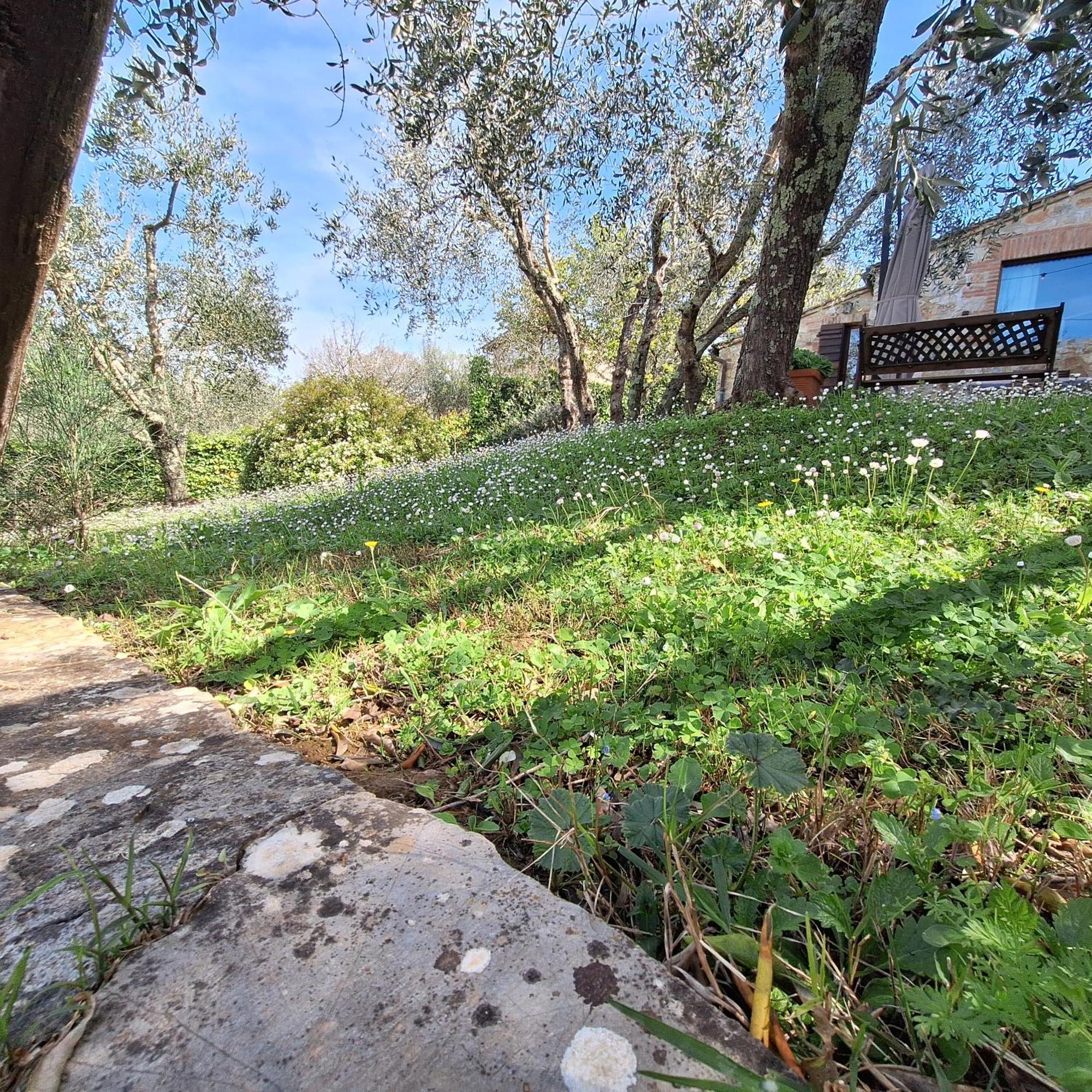 Pensjonat Dimora Nel Chianti San Sano Zewnętrze zdjęcie