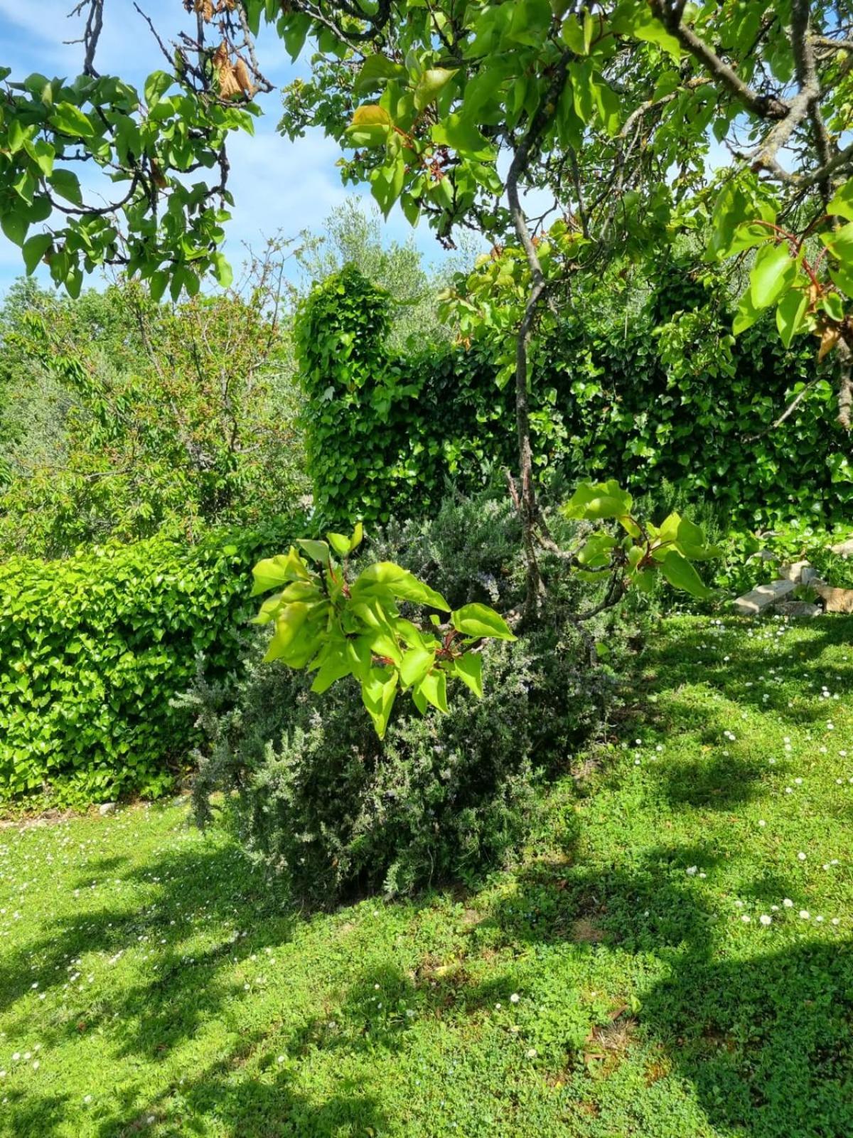 Pensjonat Dimora Nel Chianti San Sano Zewnętrze zdjęcie