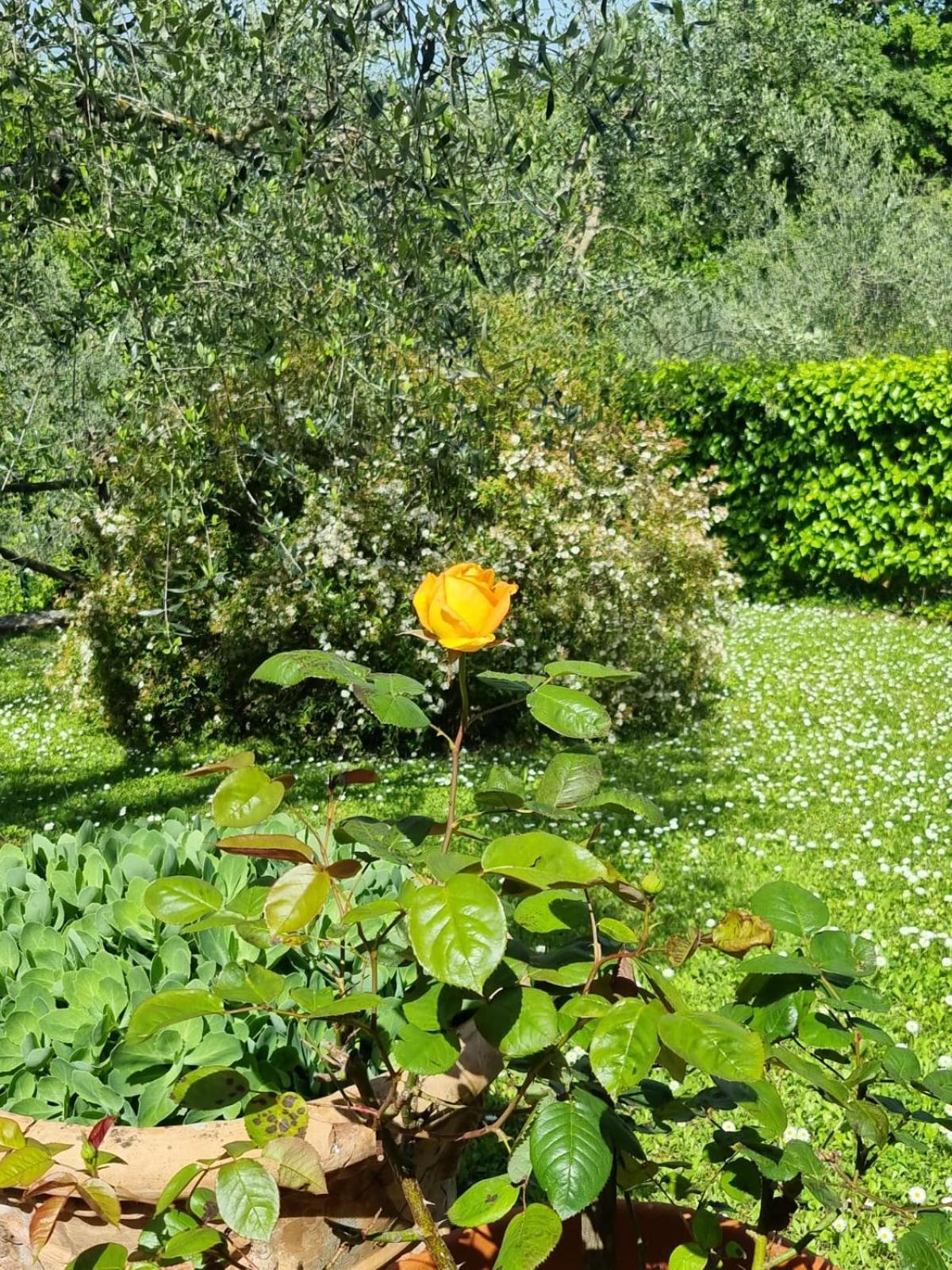 Pensjonat Dimora Nel Chianti San Sano Zewnętrze zdjęcie