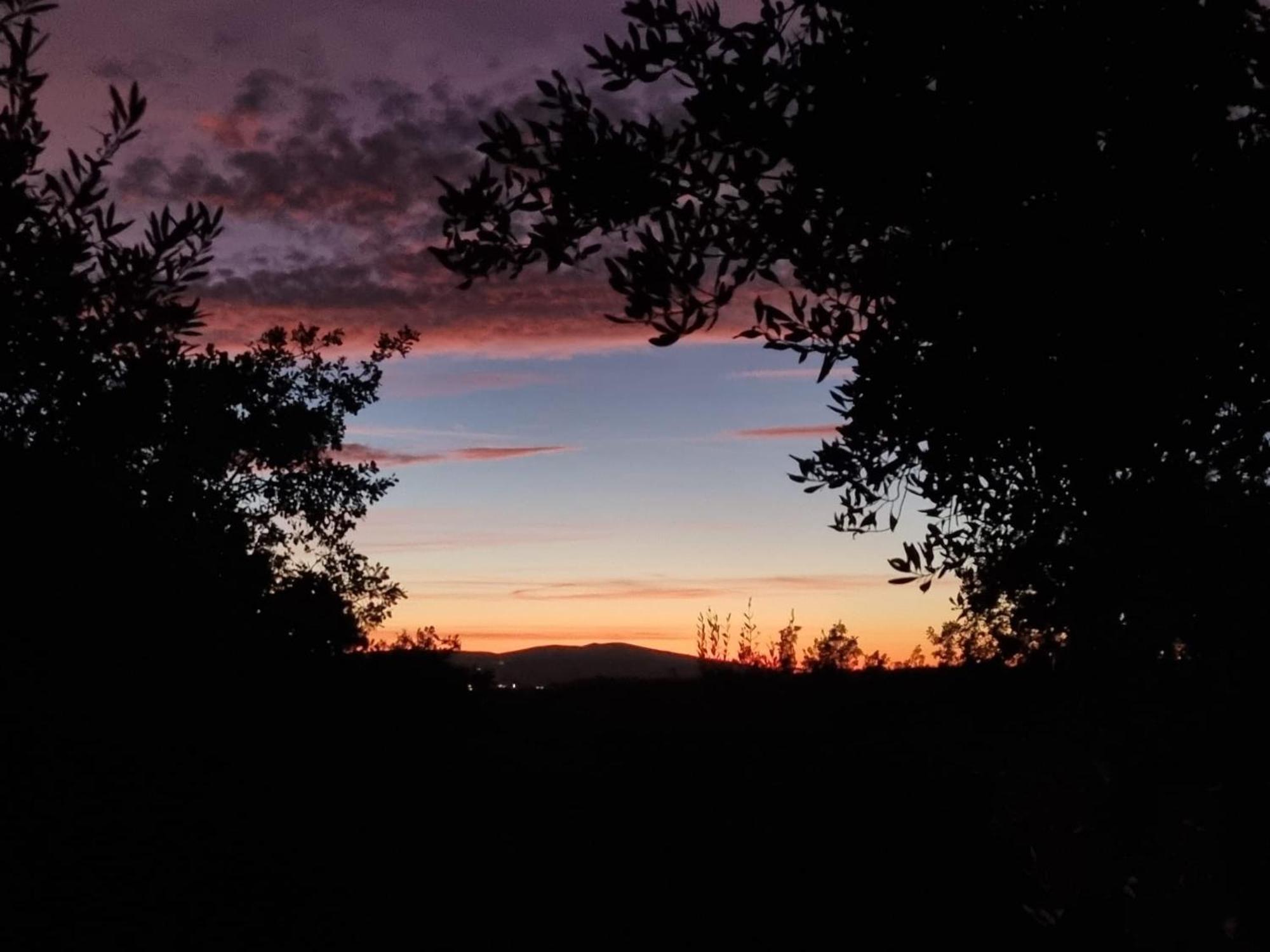 Pensjonat Dimora Nel Chianti San Sano Zewnętrze zdjęcie