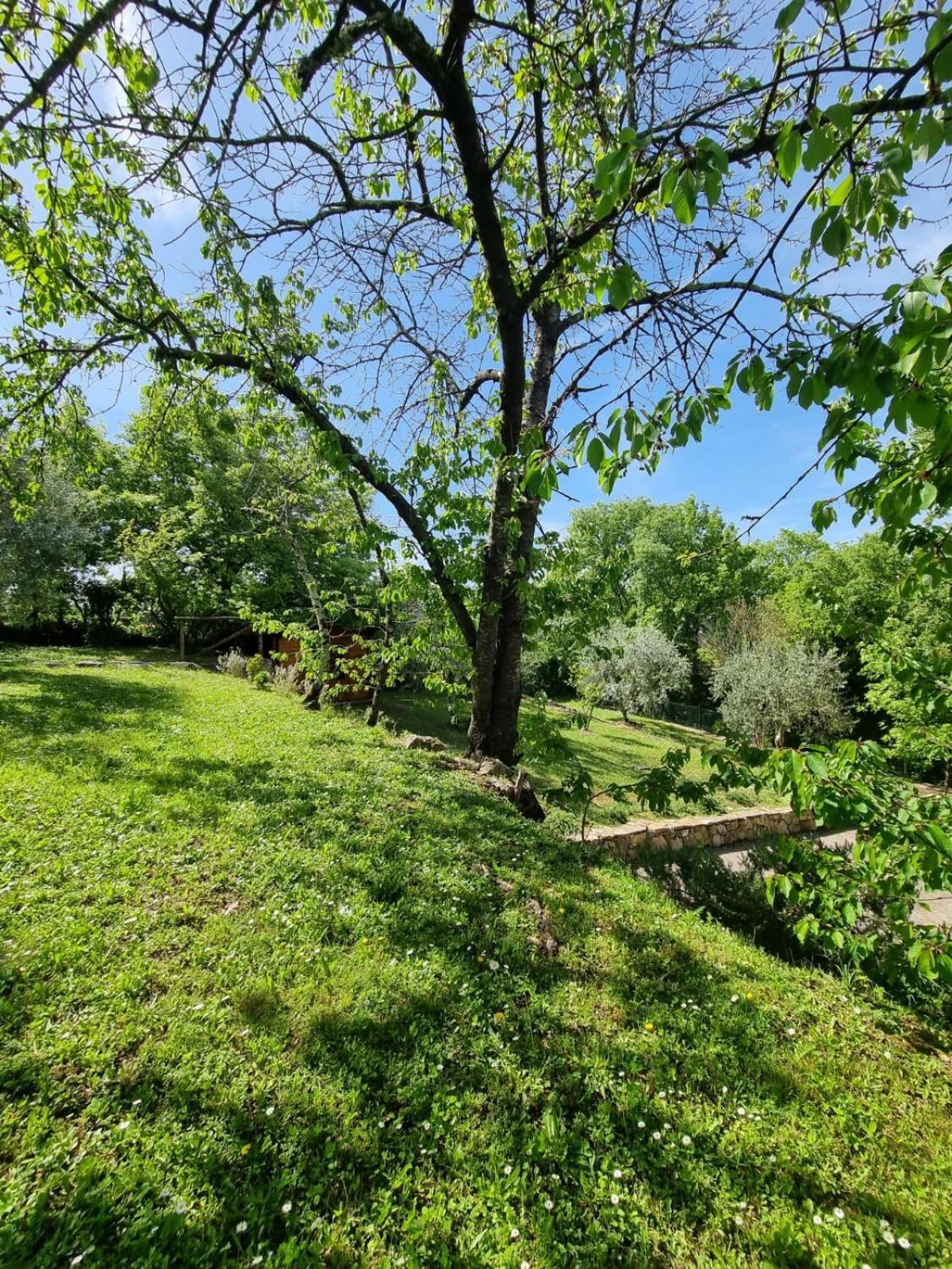 Pensjonat Dimora Nel Chianti San Sano Zewnętrze zdjęcie