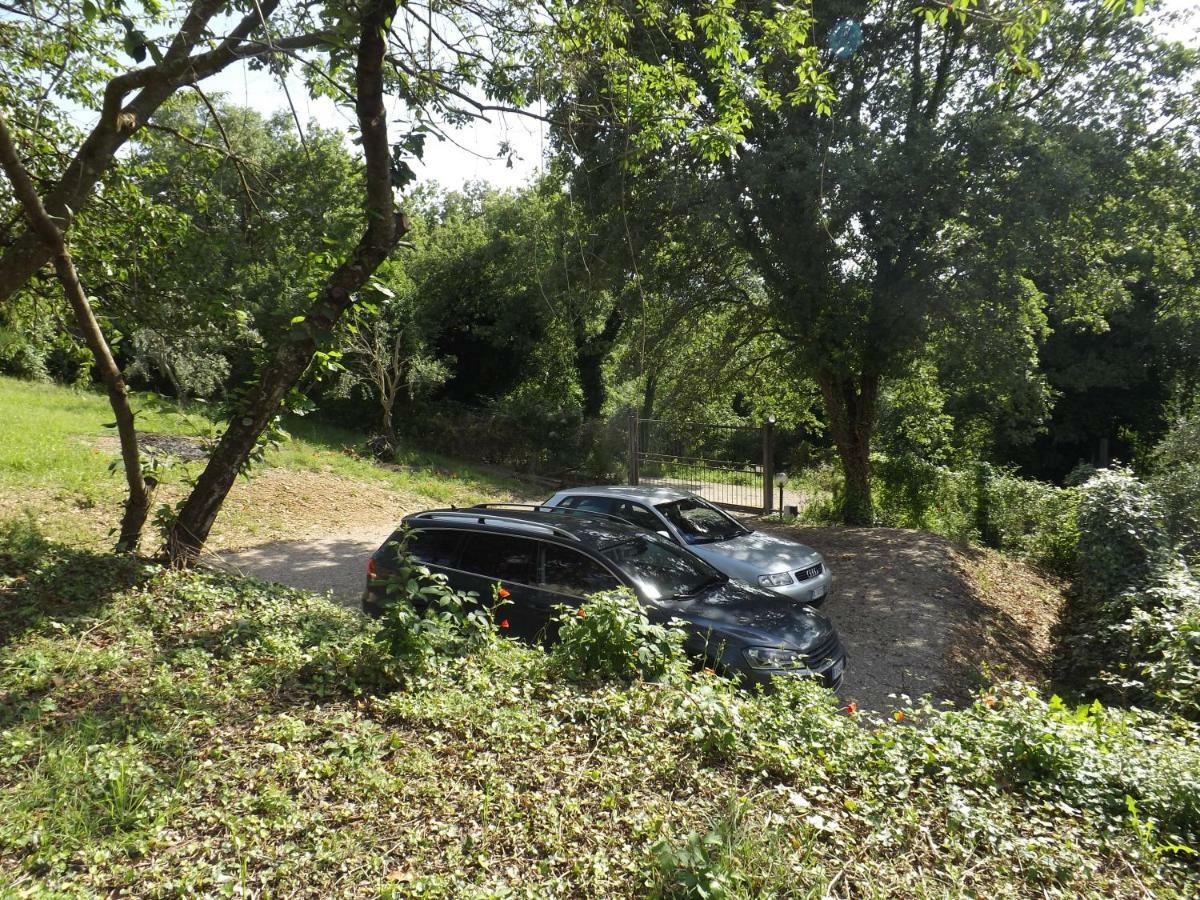 Pensjonat Dimora Nel Chianti San Sano Zewnętrze zdjęcie